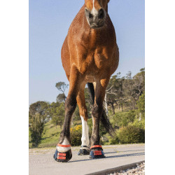 Cinghie per pastorale Scoot Boots confezione da 4 Ibisco Rosso