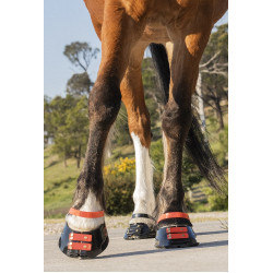 Cinghie per pastorale Scoot Boots confezione da 4 Ibisco Rosso