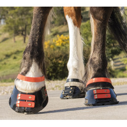 Cinghie per pastorale Scoot Boots confezione da 4 Ibisco Rosso