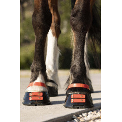 Cinghie per pastorale Scoot Boots confezione da 4 Ibisco Rosso