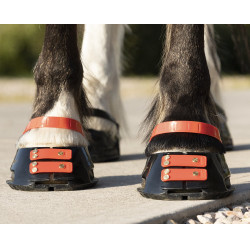 Cinghie per pastorale Scoot Boots confezione da 4 Ibisco Rosso