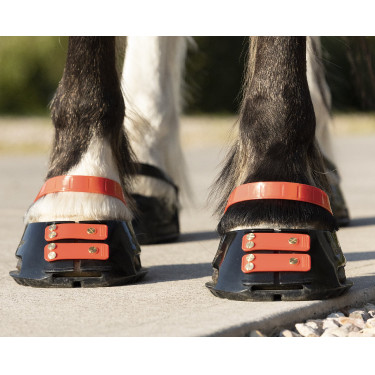 Cinghie per pastorale Scoot Boots confezione da 4 Ibisco Rosso Cinghie per pastorale Scoot Boots confezione da 4 Ibisco Rosso