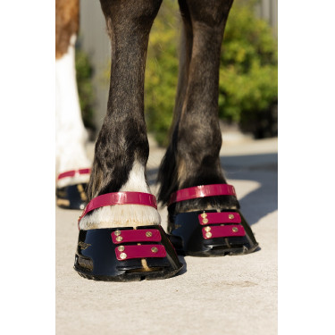 Cinghie per pastorale Scoot Boots confezione da 4 Mora Bordeaux