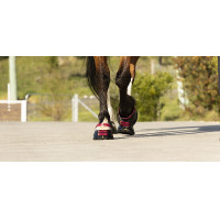 Cinghie per pastorale Scoot Boots confezione da 4 Blu