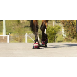 Cinghie per pastorale Scoot Boots confezione da 4 Mora Bordeaux