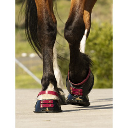 Cinghie per pastorale Scoot Boots confezione da 4 Mora Bordeaux