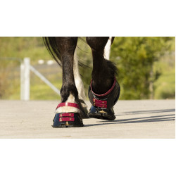 Cinghie per pastorale Scoot Boots confezione da 4 Mora Bordeaux