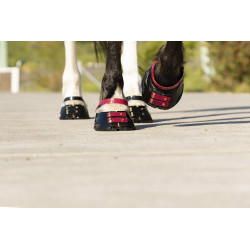 Cinghie per pastorale Scoot Boots confezione da 4 Mora Bordeaux