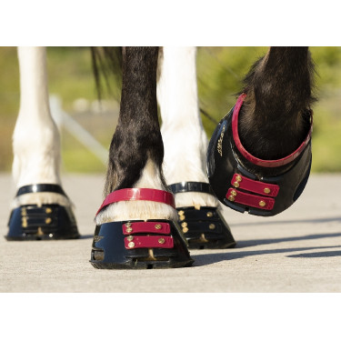 Cinghie per pastorale Scoot Boots confezione da 4 Mora Bordeaux