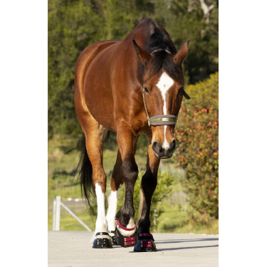 Cinghie per pastorale Scoot Boots confezione da 4 Mora Bordeaux