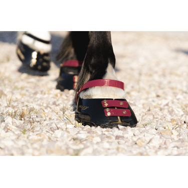 Cinghie per pastorale Scoot Boots confezione da 4 Mora Bordeaux