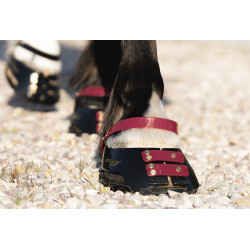 Cinghie per pastorale Scoot Boots confezione da 4 Mora Bordeaux