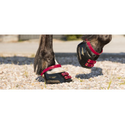 Cinghie per pastorale Scoot Boots confezione da 4 Mora Bordeaux