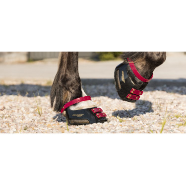Cinghie per pastorale Scoot Boots confezione da 4 Mora Bordeaux