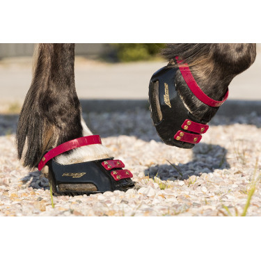 Cinghie per pastorale Scoot Boots confezione da 4 Mora Bordeaux