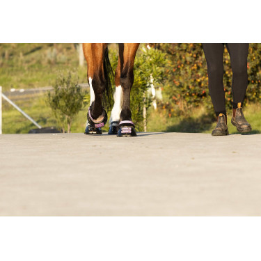 Cinghie per pastorale Scoot Boots confezione da 4 Fioritura Rosa