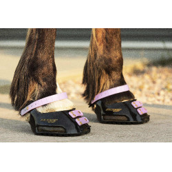 Cinghie per pastorale Scoot Boots confezione da 4 Fioritura Rosa