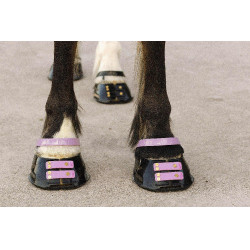 Cinghie per pastorale Scoot Boots confezione da 4 Fioritura Rosa