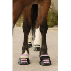 Cinghie per pastorale Scoot Boots confezione da 4 Fioritura Rosa