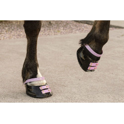 Cinghie per pastorale Scoot Boots confezione da 4 Fioritura Rosa