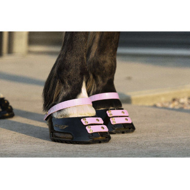 Cinghie per pastorale Scoot Boots confezione da 4 Fioritura Rosa