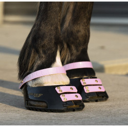 Cinghie per pastorale Scoot Boots confezione da 4 Fioritura Rosa