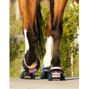 Cinghie per pastorale Scoot Boots confezione da 4 Fioritura Rosa