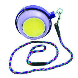Gioco con pietra di sale Boredom Buster Likit Gioco con pietra di sale Boredom Buster Likit