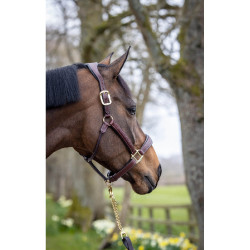 Capestro in cuoio cucito LeMieux Marrone Capestro in cuoio cucito LeMieux Marrone