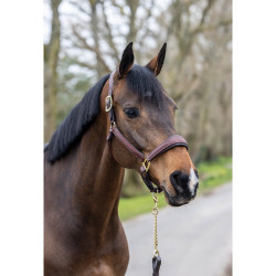 Capestro in cuoio cucito LeMieux Marrone Capestro in cuoio cucito LeMieux Marrone