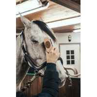 Spazzola per la testa Borstiq Spazzola per la testa Borstiq