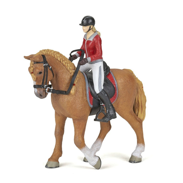 Cavallo da passeggiata e la sua cavallerizza Papo