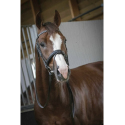 Bridon Pénélope Daily Nero