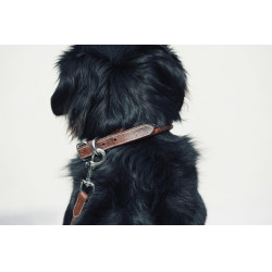 Collare per cane Pénélope Point Sellier
