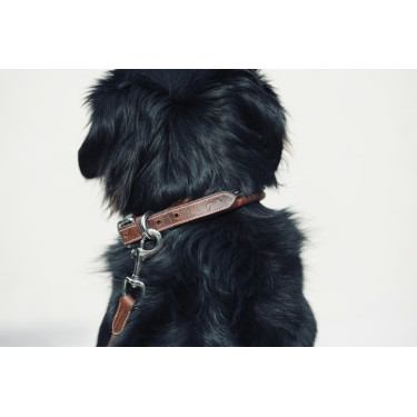 Collare per cane Pénélope Point Sellier Collare per cane Pénélope Point Sellier