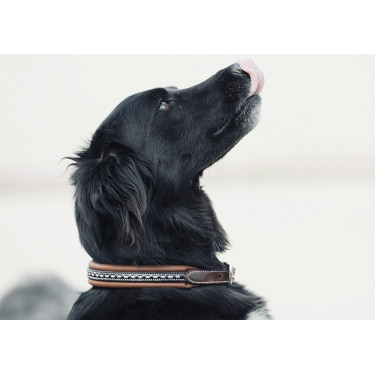 Collare per cane Pénélope Point Sellier Collare per cane Pénélope Point Sellier
