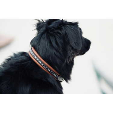 Collare per cane Pénélope Point Sellier Collare per cane Pénélope Point Sellier