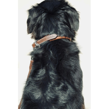 Collare per cane Pénélope Point Sellier Collare per cane Pénélope Point Sellier