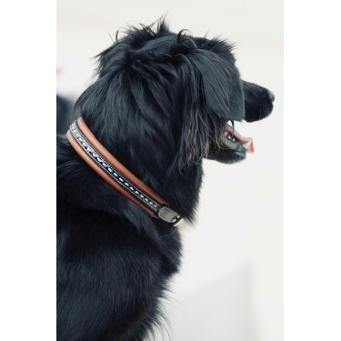 Collare per cane Pénélope Point Sellier Collare per cane Pénélope Point Sellier