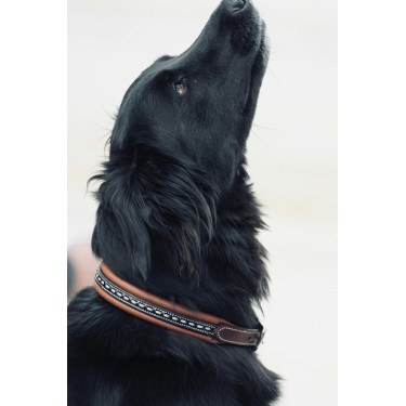 Collare per cane Pénélope Point Sellier Collare per cane Pénélope Point Sellier