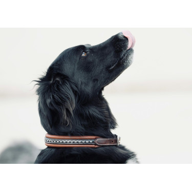 Collare per cane Pénélope Point Sellier Collare per cane Pénélope Point Sellier