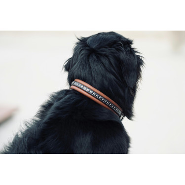 Collare per cane Pénélope Point Sellier Collare per cane Pénélope Point Sellier