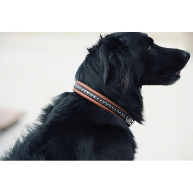 Collare per cane Pénélope Point Sellier Collare per cane Pénélope Point Sellier