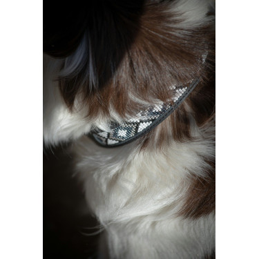 Collare per cane Pénélope Pearl Collare per cane Pénélope Pearl