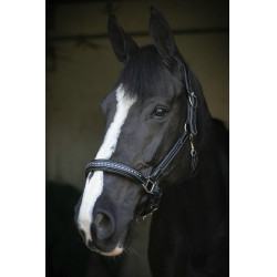 Capezzina in cuoio Pénélope Point Sellier Nero Capezzina in cuoio Pénélope Point Sellier Nero