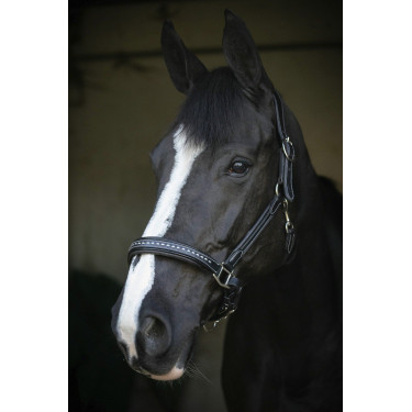 Capezzina in cuoio Pénélope Point Sellier Nero Capezzina in cuoio Pénélope Point Sellier Nero