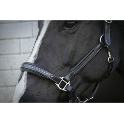 Capezzina in cuoio Pénélope Point Sellier Nero Capezzina in cuoio Pénélope Point Sellier Nero