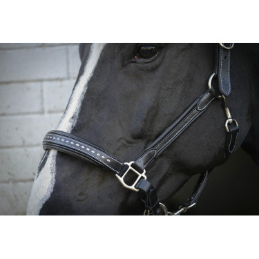 Capezzina in cuoio Pénélope Point Sellier Nero Capezzina in cuoio Pénélope Point Sellier Nero