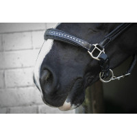 Capezzina in cuoio Pénélope Point Sellier Nero Capezzina in cuoio Pénélope Point Sellier Nero