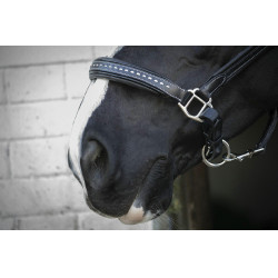 Capezzina in cuoio Pénélope Point Sellier Nero Capezzina in cuoio Pénélope Point Sellier Nero